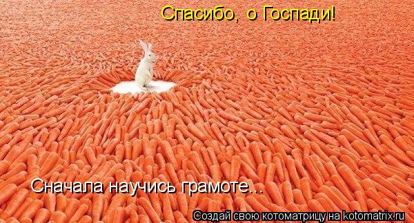 Спасибо, о Госпади! Сначала научись грамоте...... Котоматрица: Спасибо, о Госпади! Сначала научись грамоте...