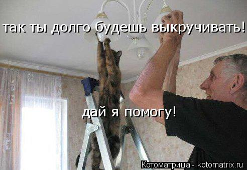 так ты долго будешь выкручивать! дай я помогу! так ты долго будешь выкручивать!... Котоматрица: так ты долго будешь выкручивать! дай я помогу! так ты долго будешь выкручивать!