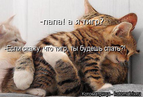 -папа! а я тигр? -Если скажу, что тигр, ты будешь спать?!... Котоматрица: -папа! а я тигр? -Если скажу, что тигр, ты будешь спать?!