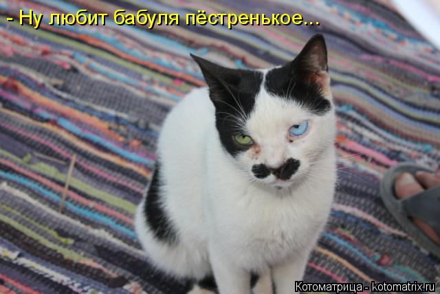 - Ну любит бабуля пёстренькое...... Котоматрица: - Ну любит бабуля пёстренькое...