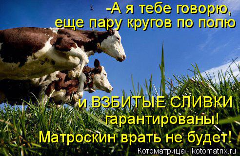 -А я тебе говорю, еще пару кругов по полю и ВЗБИТЫЕ СЛИВКИ гарантированы! Матроскин врать не будет!... Котоматрица: -А я тебе говорю, еще пару кругов по полю и ВЗБИТЫЕ СЛИВКИ гарантированы! Матроскин врать не будет!