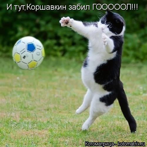 И тут,Коршавкин забил ГОООООЛ!!!... Котоматрица: И тут,Коршавкин забил ГОООООЛ!!!