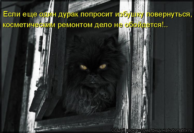 Если еще один дурак попросит избушку повернуться, косметическим ремонтом дело не обойдется!..... Котоматрица: Если еще один дурак попросит избушку повернуться, косметическим ремонтом дело не обойдется!..