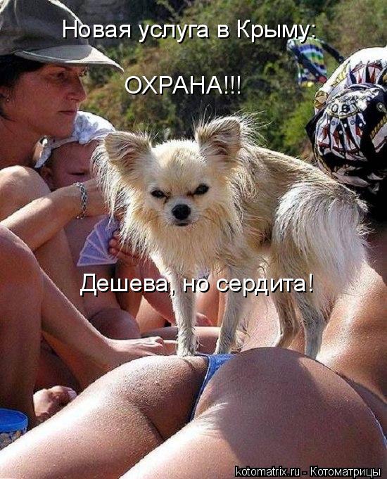 Новая услуга в Крыму: ОХРАНА!!! Дешева, но сердита!... Котоматрица: Новая услуга в Крыму: ОХРАНА!!! Дешева, но сердита!