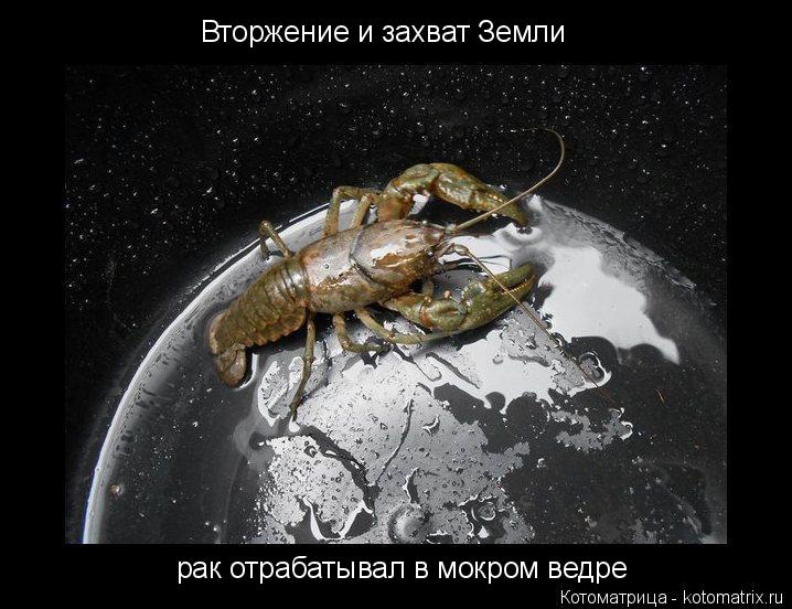 Вторжение и захват Земли рак отрабатывал в мокром ведре... Котоматрица: Вторжение и захват Земли рак отрабатывал в мокром ведре