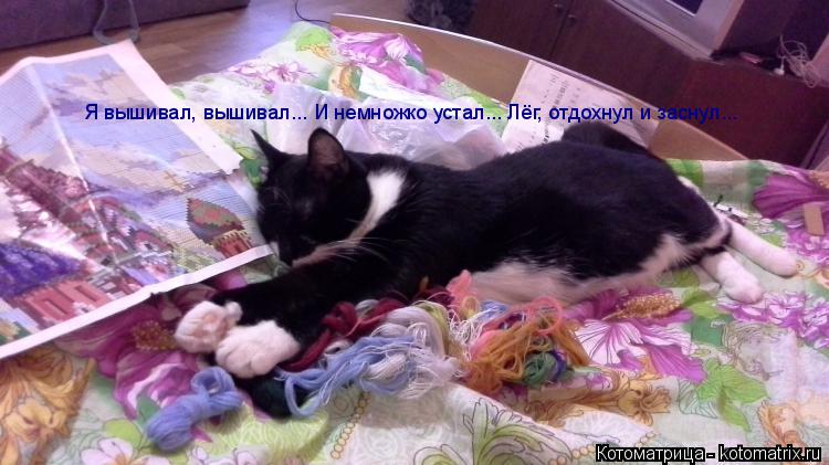 Я вышивал, вышивал... И немножко устал... Лёг, отдохнул и заснул...... Котоматрица: Я вышивал, вышивал... И немножко устал... Лёг, отдохнул и заснул...