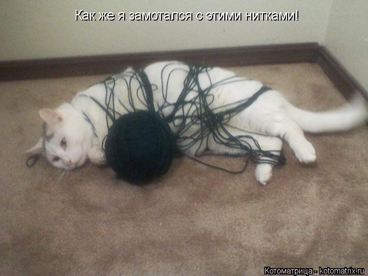 Котоматрица: Как же я замотался с этими нитками!