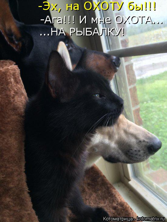 -Эх, на ОХОТУ бы!!! -Ага!!! И мне ОХОТА... ...НА РЫБАЛКУ!... Котоматрица: -Эх, на ОХОТУ бы!!! -Ага!!! И мне ОХОТА... ...НА РЫБАЛКУ!