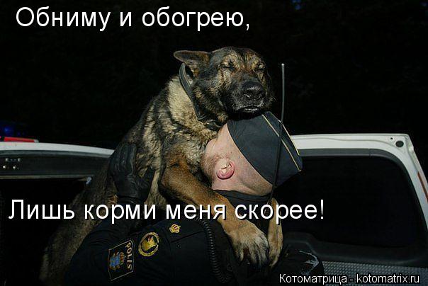 Обниму и обогрею, Лишь корми меня скорее!... Котоматрица: Обниму и обогрею, Лишь корми меня скорее!