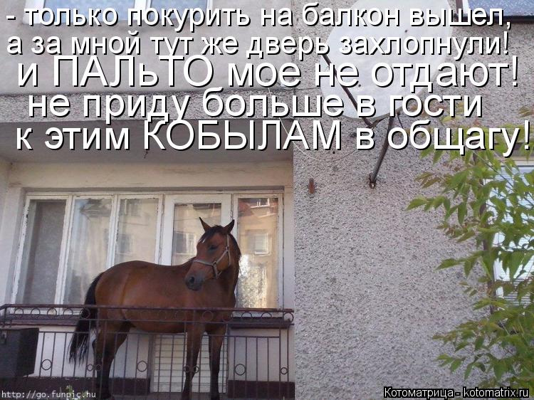 - только покурить на балкон вышел, а за мной тут же дверь захлопнули! и ПАЛьТО мое не отдают! не ... Котоматрица: - только покурить на балкон вышел, а за мной тут же дверь захлопнули! и ПАЛьТО мое не отдают! не приду больше в гости к этим КОБЫЛАМ в общаг