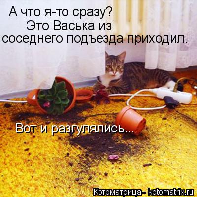 А что я-то сразу? Это Васька из соседнего подъезда приходил. Вот и разгулялись...... Котоматрица: А что я-то сразу? Это Васька из соседнего подъезда приходил. Вот и разгулялись...