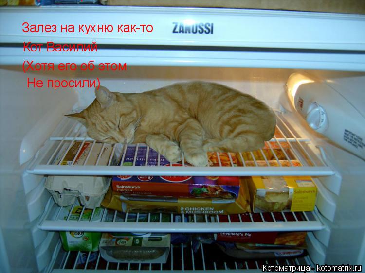 Залез на кухню как-то Кот Василий (Хотя его об этом Не просили) Не просили)... Котоматрица: Залез на кухню как-то Кот Василий (Хотя его об этом Не просили) Не просили)