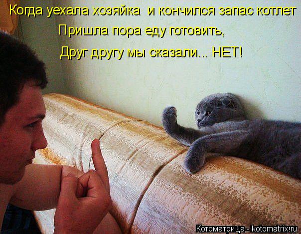 Котоматрица: Когда уехала хозяйка  и кончился запас котлет  Пришла пора еду готовить,  Друг другу мы сказали... НЕТ!