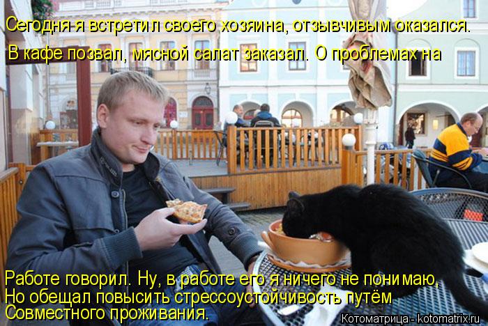 Сегодня я встретил своего хозяина, отзывчивым оказался. В кафе позвал, мясной салат заказал. О пробле... Котоматрица: Сегодня я встретил своего хозяина, отзывчивым оказался. В кафе позвал, мясной салат заказал. О проблемах на Работе говорил. Ну, в работе его