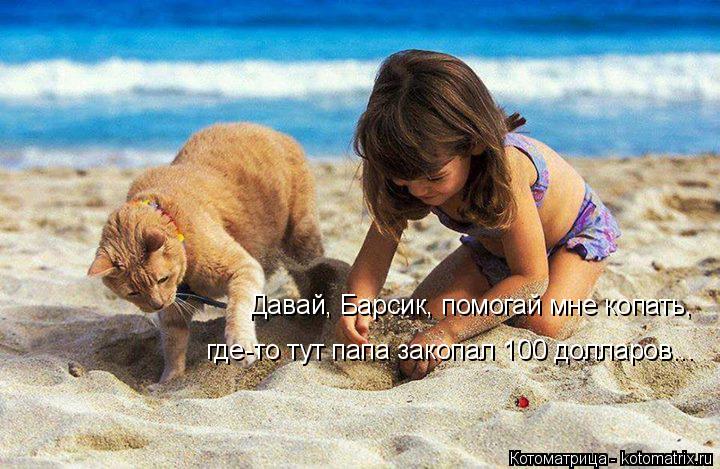 Давай, Барсик, помогай мне копать, где-то тут папа закопал 100 долларов...... Котоматрица: Давай, Барсик, помогай мне копать, где-то тут папа закопал 100 долларов...