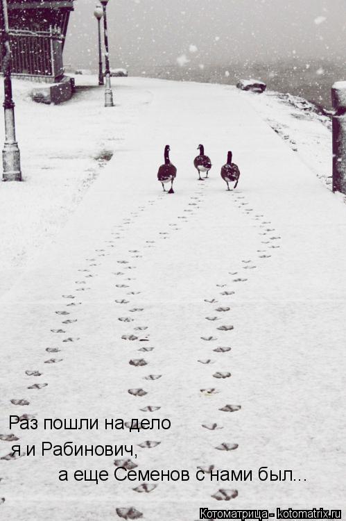 Раз пошли на дело я и Рабинович, а еще Семенов с нами был...... Котоматрица: Раз пошли на дело я и Рабинович, а еще Семенов с нами был...
