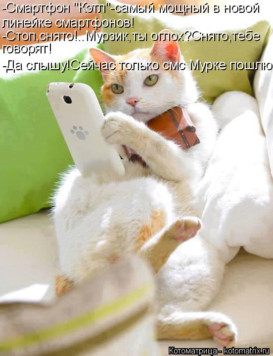 Котоматрица: -Смартфон "Кэтл"-самый мощный в новой линейке смартфонов! -Стоп,снято!..Мурзик,ты оглох?Снято,тебе говорят! -Да слышу!Сейчас только смс Мурке п