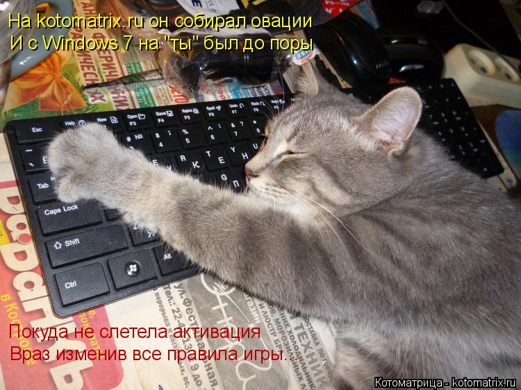 На kotomatrix.ru он собирал овации И с Windows 7 на "ты" был до поры Покуда не слетела активация Враз... Котоматрица: На kotomatrix.ru он собирал овации И с Windows 7 на "ты" был до поры Покуда не слетела активация Враз изменив все правила игры...