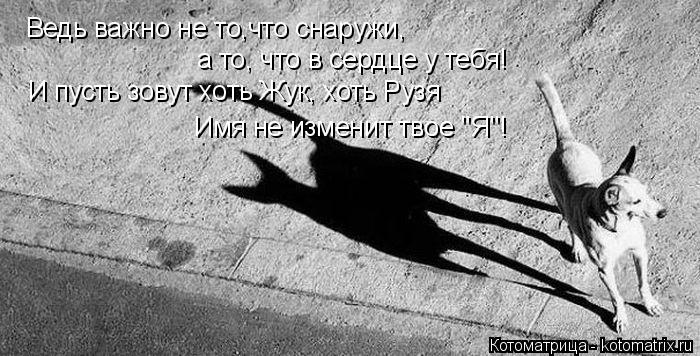 Ведь важно не то,что снаружи, а то, что в сердце у тебя! И пусть зовут хоть Жук, хоть Рузя Имя не изм... Котоматрица: Ведь важно не то,что снаружи, а то, что в сердце у тебя! И пусть зовут хоть Жук, хоть Рузя Имя не изменит твое "Я"!