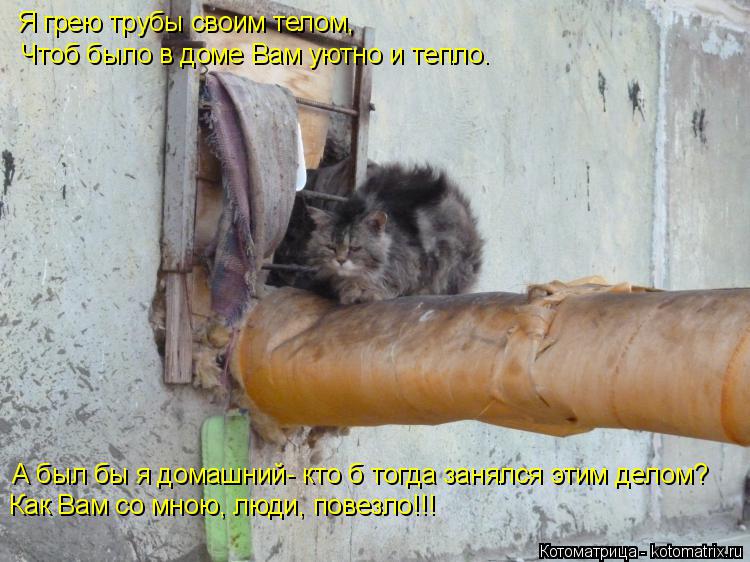 Как Вам со мною, люди, повезло!!! Я грею трубы своим телом, А был бы я домашний- кто б тогда занялся ... Котоматрица: Как Вам со мною, люди, повезло!!! Я грею трубы своим телом, А был бы я домашний- кто б тогда занялся этим делом? Чтоб было в доме Вам уютно и тепл