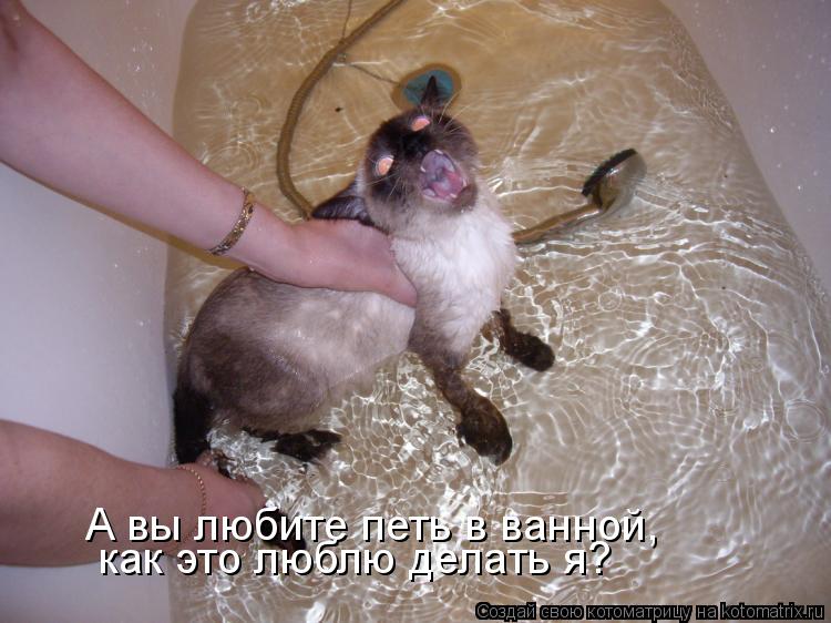 Котоматрица: А вы любите петь в ванной, как это люблю делать я?