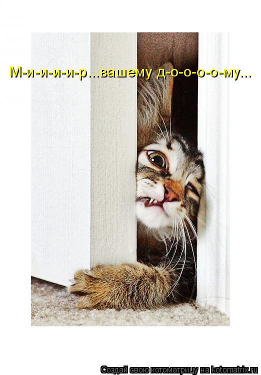 М-и-и-и-и-р...вашему д-о-о-о-о-му...... Котоматрица: М-и-и-и-и-р...вашему д-о-о-о-о-му...