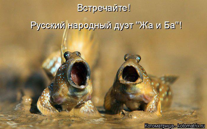 Встречайте! Русский народный дуэт "Жа и Ба"!... Котоматрица: Встречайте! Русский народный дуэт "Жа и Ба"!