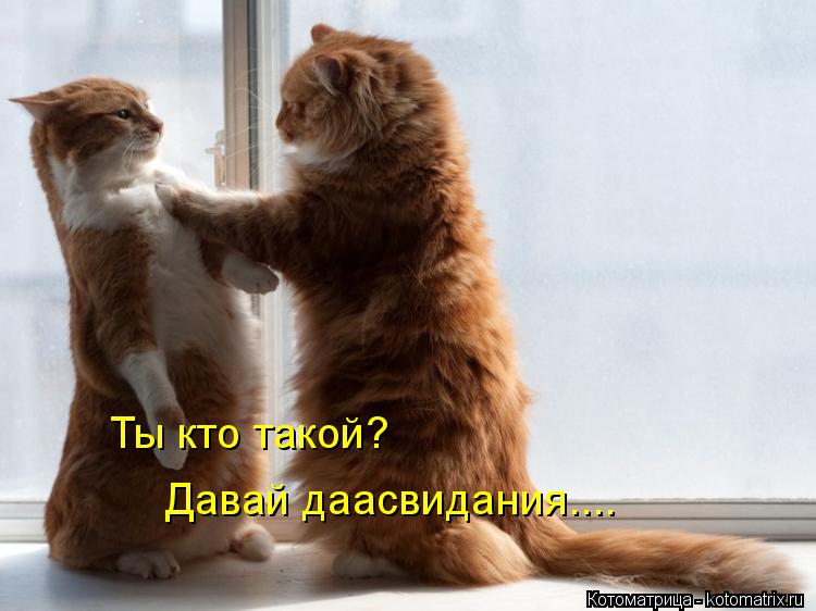 Котоматрица: Ты кто такой? Давай даасвидания....