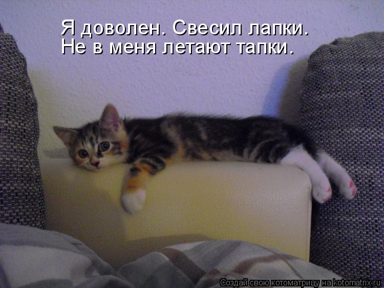 Котоматрица: Я доволен. Свесил лапки. Не в меня летают тапки.