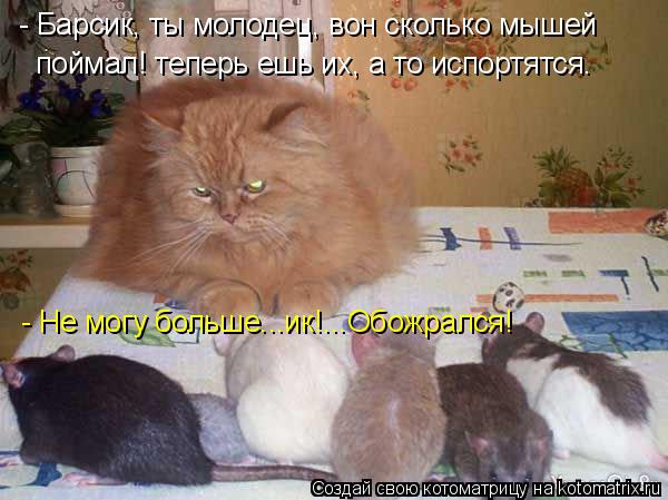 Котоматрица: - Барсик, ты молодец, вон сколько мышей поймал! теперь ешь их, а то испортятся. - Не могу больше...ик!...Обожрался!