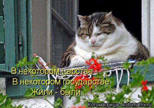 Котоматрица: В некотором царстве В некотором государстве Жили - были....