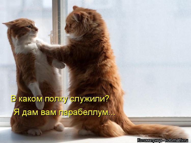 Котоматрица: В каком полку служили? Я дам вам парабеллум...