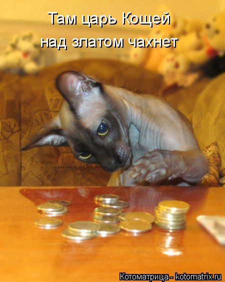 Котоматрица: Там царь Кощей над златом чахнет