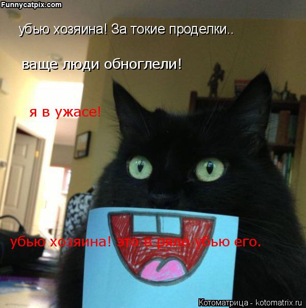 убью хозяина! За токие проделки.. ваще люди обноглели! я в ужасе! убью хозяина! это в ряле убью его.... Котоматрица: убью хозяина! За токие проделки.. ваще люди обноглели! я в ужасе! убью хозяина! это в ряле убью его.