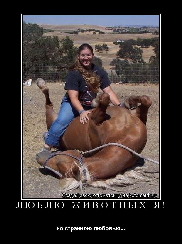 ЛЮБЛЮ ЖИВОТНЫХ Я! но странною любовью...... Котоматрица: ЛЮБЛЮ ЖИВОТНЫХ Я! но странною любовью...