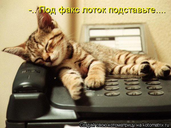 -.. Под факс лоток подставьте....... Котоматрица: -.. Под факс лоток подставьте....
