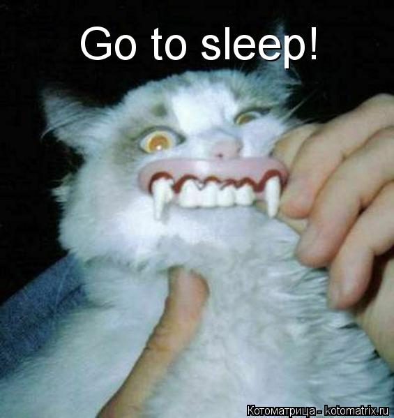 Go to sleep!... Котоматрица: Go to sleep!