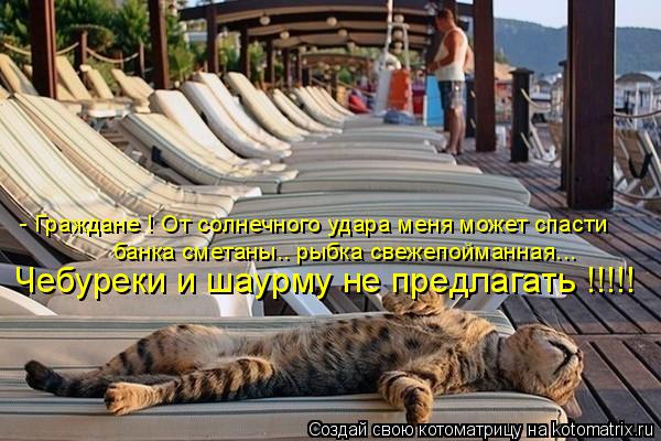 - Граждане ! От солнечного удара меня может спасти банка сметаны.. рыбка свежепойманная... Чебуреки и... Котоматрица: - Граждане ! От солнечного удара меня может спасти банка сметаны.. рыбка свежепойманная... Чебуреки и шаурму не предлагать !!!!!