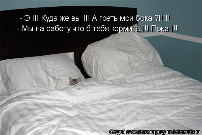 - Э !!! Куда же вы !!! А греть мои бока ?!!!!! - Мы на работу что б тебя кормить !!! Пока !!!... Котоматрица: - Э !!! Куда же вы !!! А греть мои бока ?!!!!! - Мы на работу что б тебя кормить !!! Пока !!!