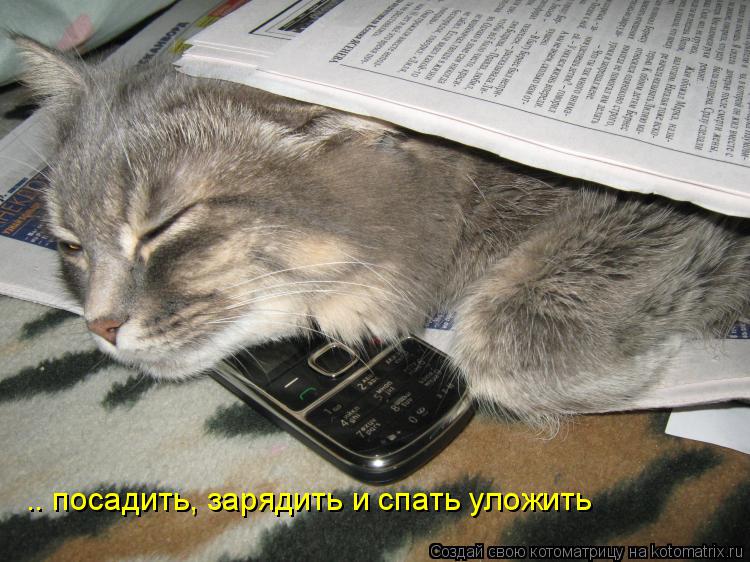 .. посадить, зарядить и спать уложить... Котоматрица: .. посадить, зарядить и спать уложить