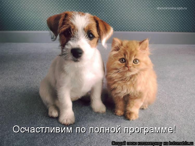 Котоматрица: Осчастливим по полной программе!