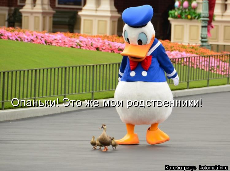 Котоматрица: Опаньки! Это же мои родственники!