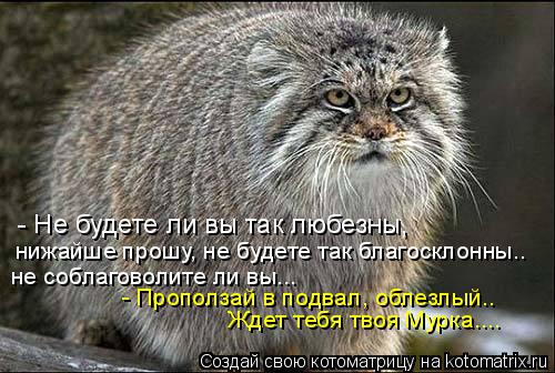 - Не будете ли вы так любезны, нижайше прошу, не будете так благосклонны.. не соблаговолите ли вы... ... Котоматрица: - Не будете ли вы так любезны, нижайше прошу, не будете так благосклонны.. не соблаговолите ли вы... - Проползай в подвал, облезлый.. Ждет тебя т