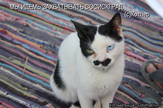 МЫ ИДЕМЬ ЗАХВАТЫВАТЬ СОСИСКГРАД (с)Котлер... Котоматрица: МЫ ИДЕМЬ ЗАХВАТЫВАТЬ СОСИСКГРАД (с)Котлер
