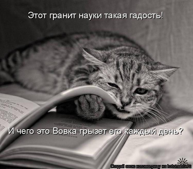 Этот гранит науки такая гадость! И чего это Вовка грызет его каждый день?... Котоматрица: Этот гранит науки такая гадость! И чего это Вовка грызет его каждый день?