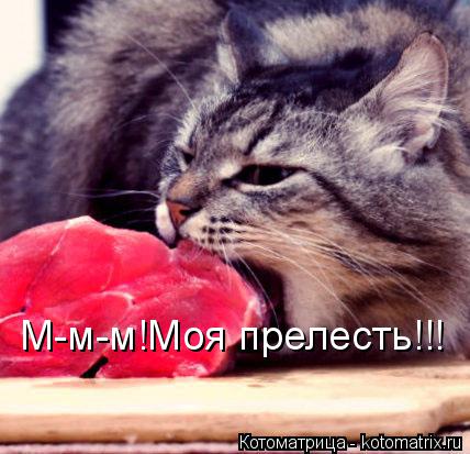 Котоматрица: М-м-м!Моя прелесть!!!
