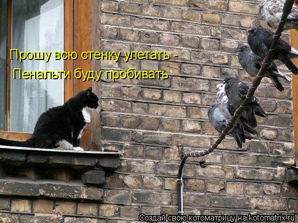 Прошу всю стенку улетать - Пенальти буду пробивать... Котоматрица: Прошу всю стенку улетать - Пенальти буду пробивать