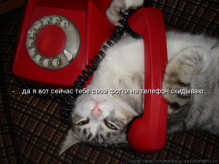 - ...да я вот сейчас тебе свой фотки на телефон скидываю ...... Котоматрица: - ...да я вот сейчас тебе свой фотки на телефон скидываю ...