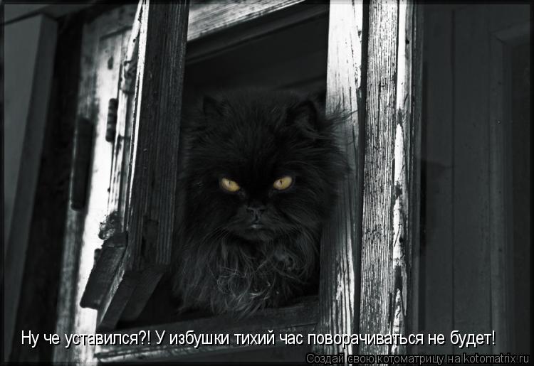 Ну че уставился?! У избушки тихий час поворачиваться не будет!... Котоматрица: Ну че уставился?! У избушки тихий час поворачиваться не будет!