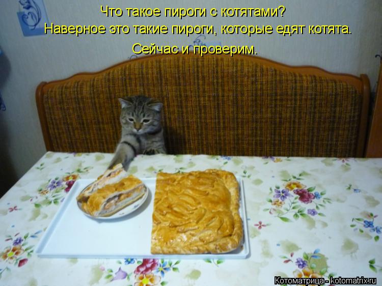 Что такое пироги с котятами? Наверное это такие пироги, которые едят котята. Сейчас и проверим.... Котоматрица: Что такое пироги с котятами? Наверное это такие пироги, которые едят котята. Сейчас и проверим.